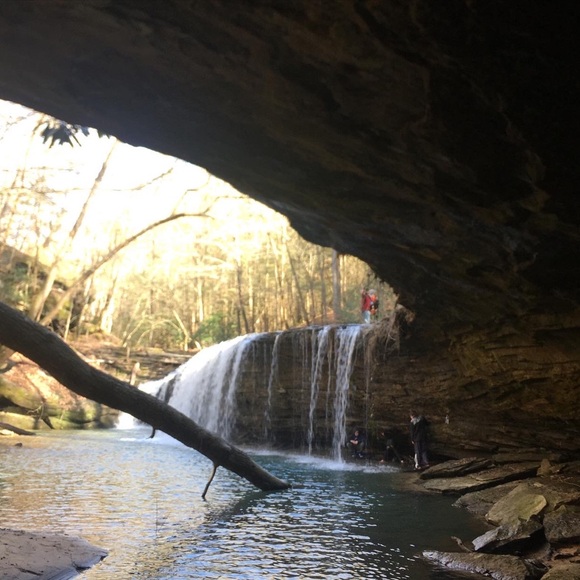 Meet your Posher, Elizabeth - Picture 5 of 5